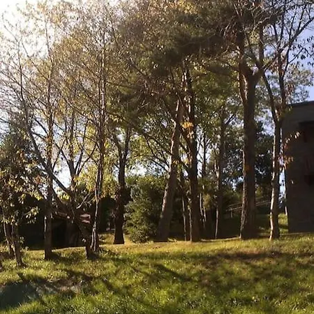 Apartment Disfruta De Lacerdanya En 